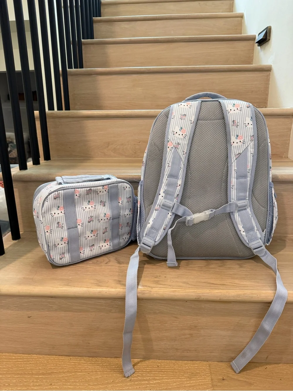 Pottery Barn Kids Large Light Blue Floral Stripe Backpack and Lunch Bag Set